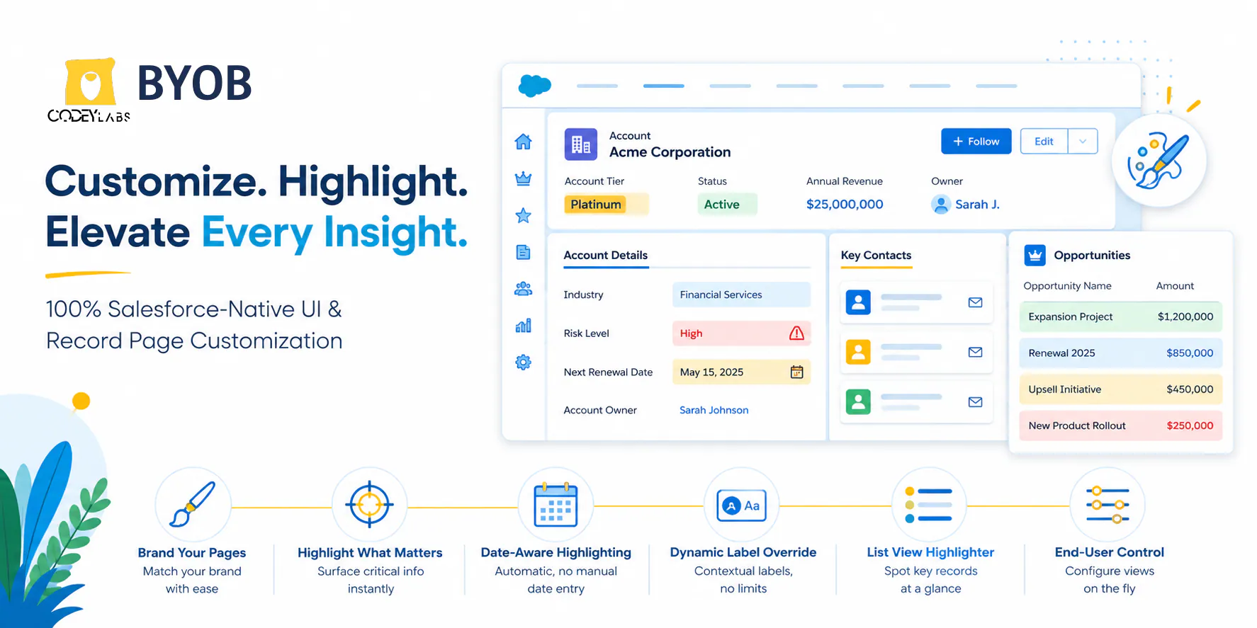 Salesforce branding customization example, Custom record page theme Salesforce